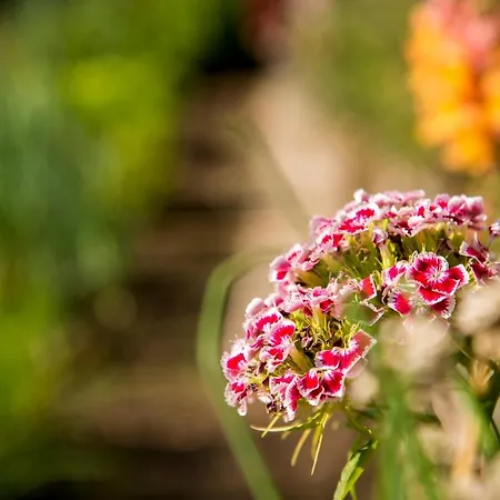 Wiesenrain Locanda